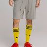 Slate Waffle Knit Shorts in Heather Gray, image 1